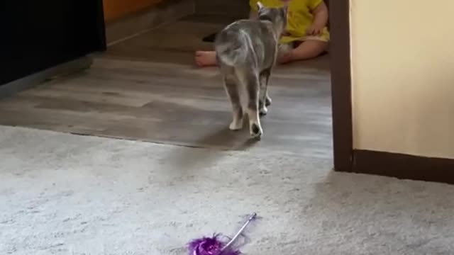 Kid and Cat Get Startling Introduction