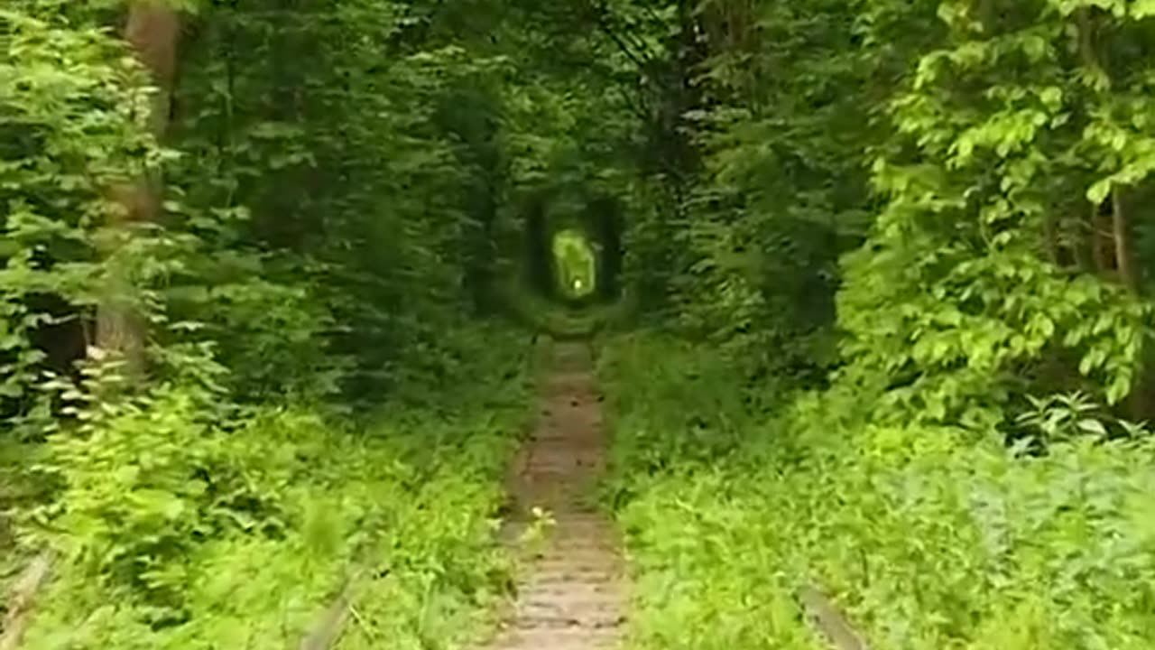 Tunnel of love 💕💕💕😘