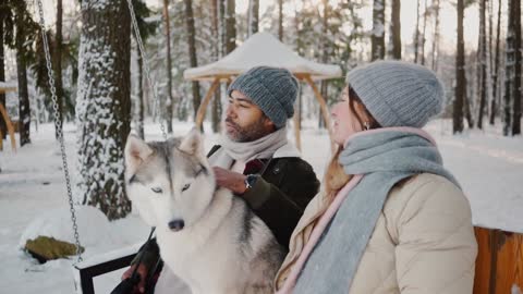 Animal play on people||people very interested