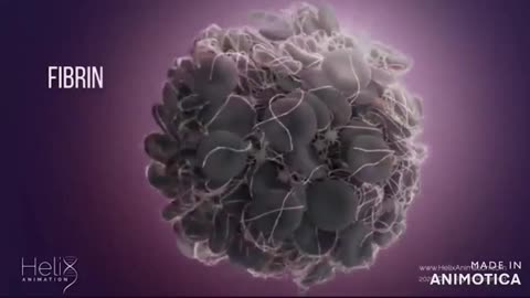 Divinely Encoded DNA