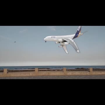 The plane flies like a bird