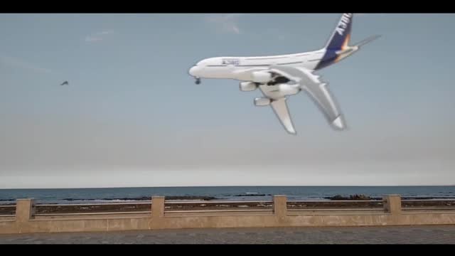 The plane flies like a bird