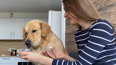 She let her dog choose between beef broth and Yogurt , very smart dog