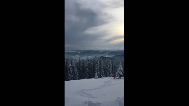 Amazing Nature (Bukovel, Ukraine)