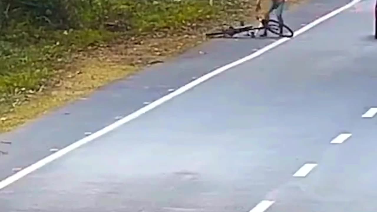 Leopard Attack A Man While He Is Going On The Cycle.