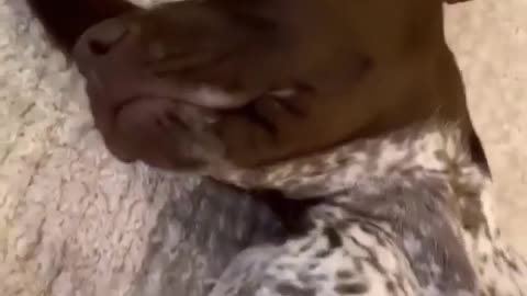 She's taking the night train to sleepy town