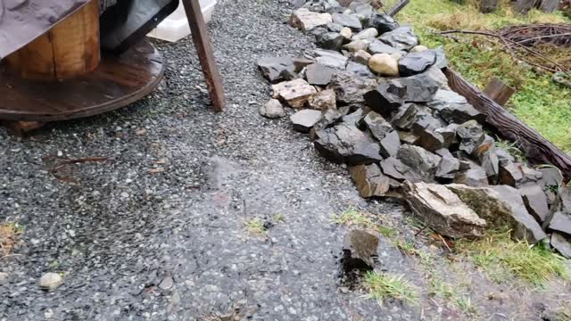 Winter Solstice 2020 brings a deluge of rain to Western WA