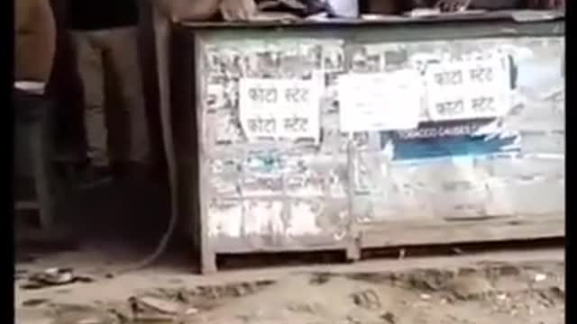 Funny monkey