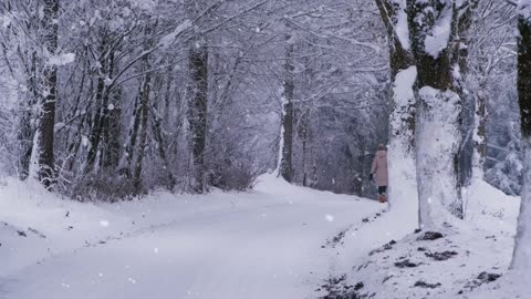 Winter snow people Relaxing footage video