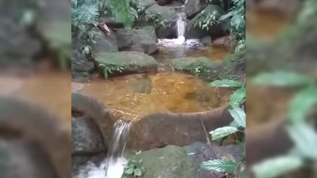 NASCENTE DO MEU SITIO É LINDO