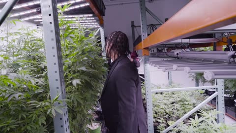 Gassed Up Exotics Collab Video