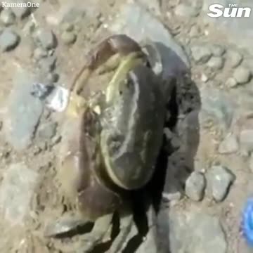 ΒΡΕΘΗΚΕ ΤΟ ΚΑΤΟΙΚΙΔΙΟ ΤΟΥ ΖΕΛΕΝΣΚΥ.