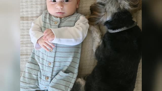 Baby and cute puppy