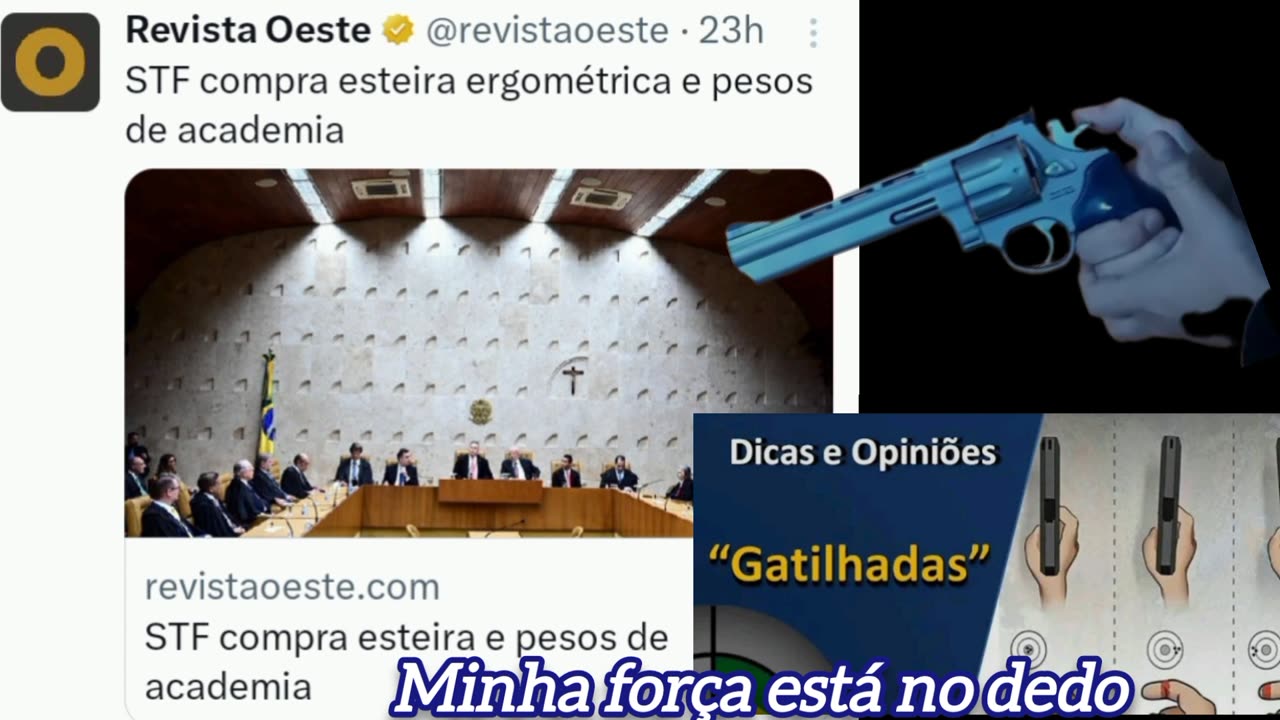 STF monta sua academia para os milicianos. Podem fazer o que quiser Quem determina quem fica em pé ou no chão é o meu dedo.