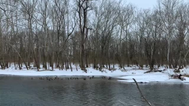 Metro park water