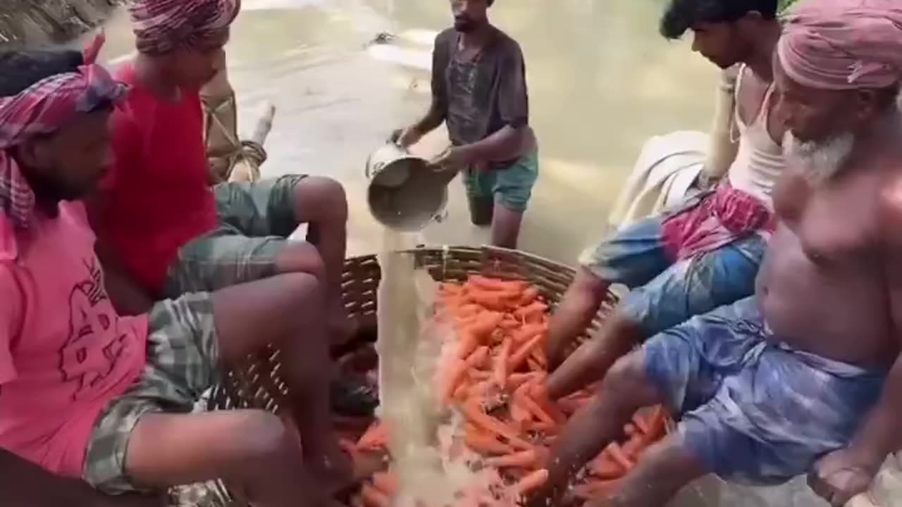 Organic Vegetables Processing