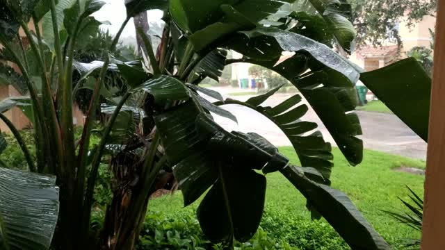 Monday evening rain