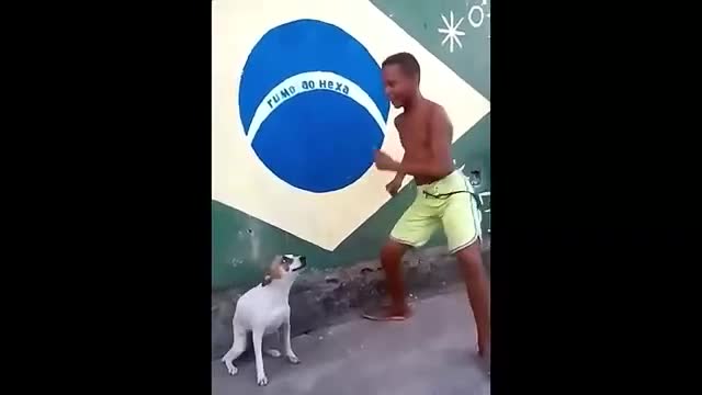 PERRO BAILANDO JUNTO A SU AMO