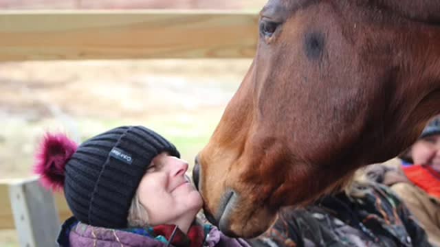 Covenant Farm Heals Ministry