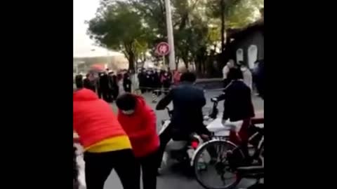 SỢ THIẾU HỤT❗️CÁC KHU VỰC KHÔNG BỊ COVID Ở TRUNG QUỐC ĐƯỢC KHAI THÁC KHẨN ĐỂ TRỒNG LƯƠNG THỰC