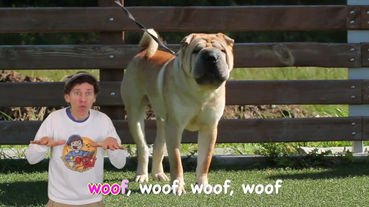 Animal sound kids