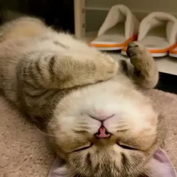 the most enjoyable sleep of all