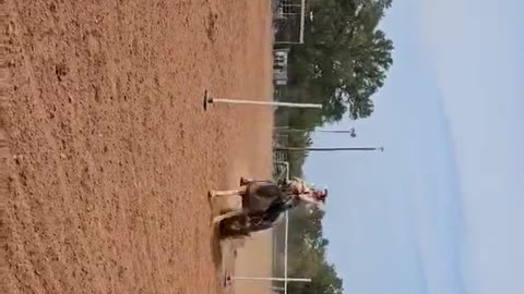 Yahoo poles 9-14-24
