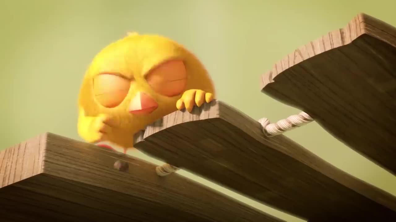 Where's Chicky? Funny Chicky 2020 | TREASURE ISLAND | Chicky Cartoon in English for Kids