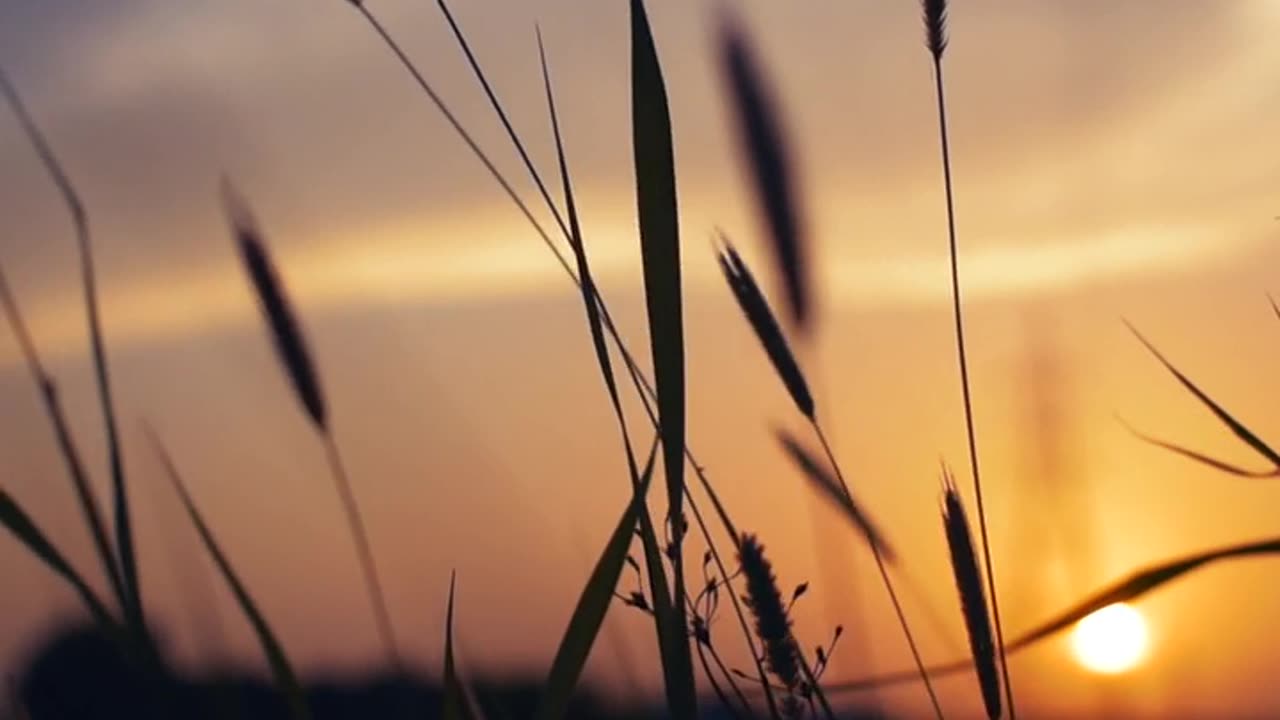 Sunrise Video | Nature video