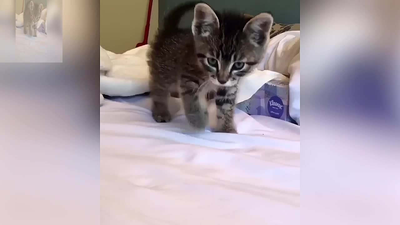 I am saying hello to you