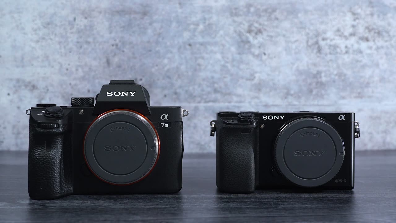 Sony Alpha a6400 Mirrorless Camera