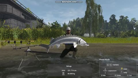 Fishing game