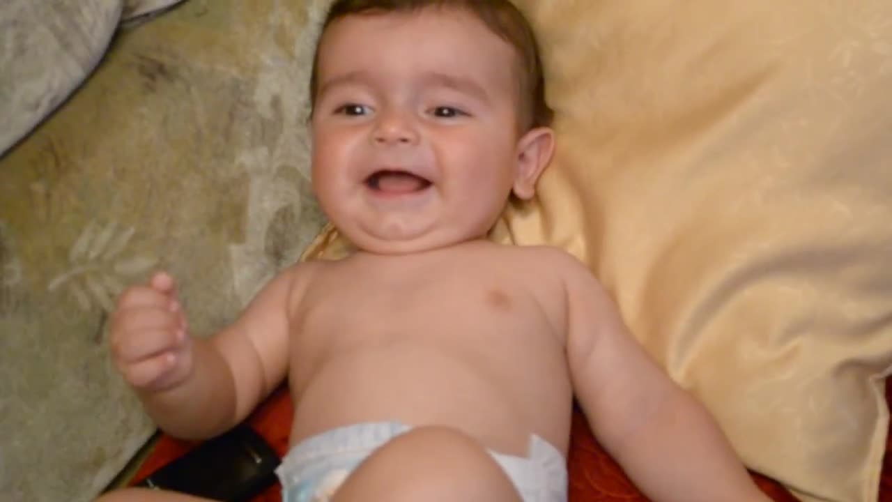 This video will make your day