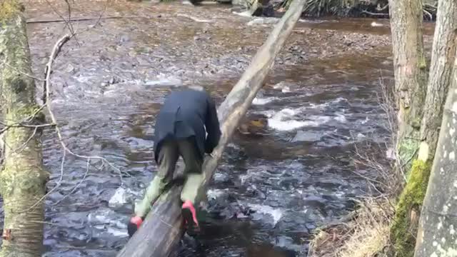 Slippery Tree Bridge Fail