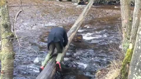 Slippery Tree Bridge Fail