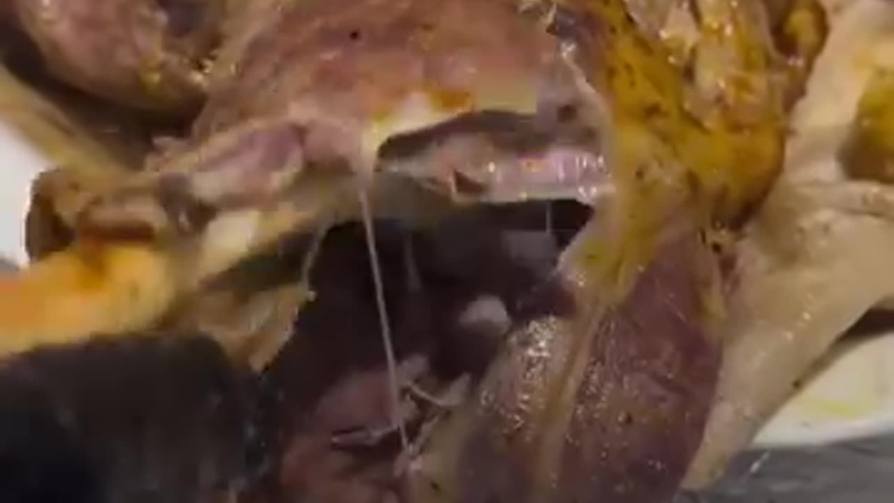 Tasty Food Shorts 3