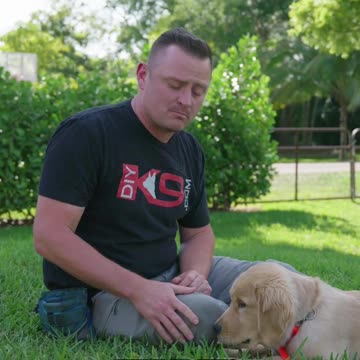 Why You SHOULDN’T Get a Golden Retriever