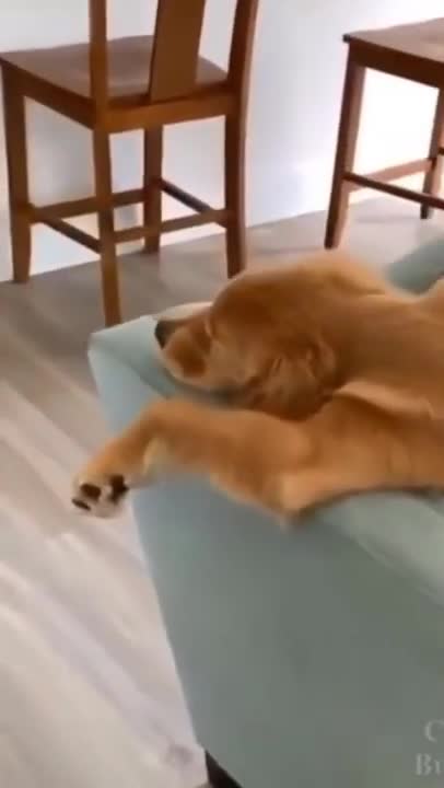 TRY NOT TO LAUGH_ how to sleep__ Funny Videos