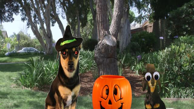 Pixeladog & Halloween