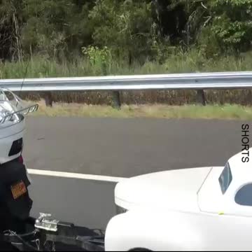 WATCH : Lucky Dog Has His Own Ride 🐶🚙 #Shorts #funny_dogs #dog_videos