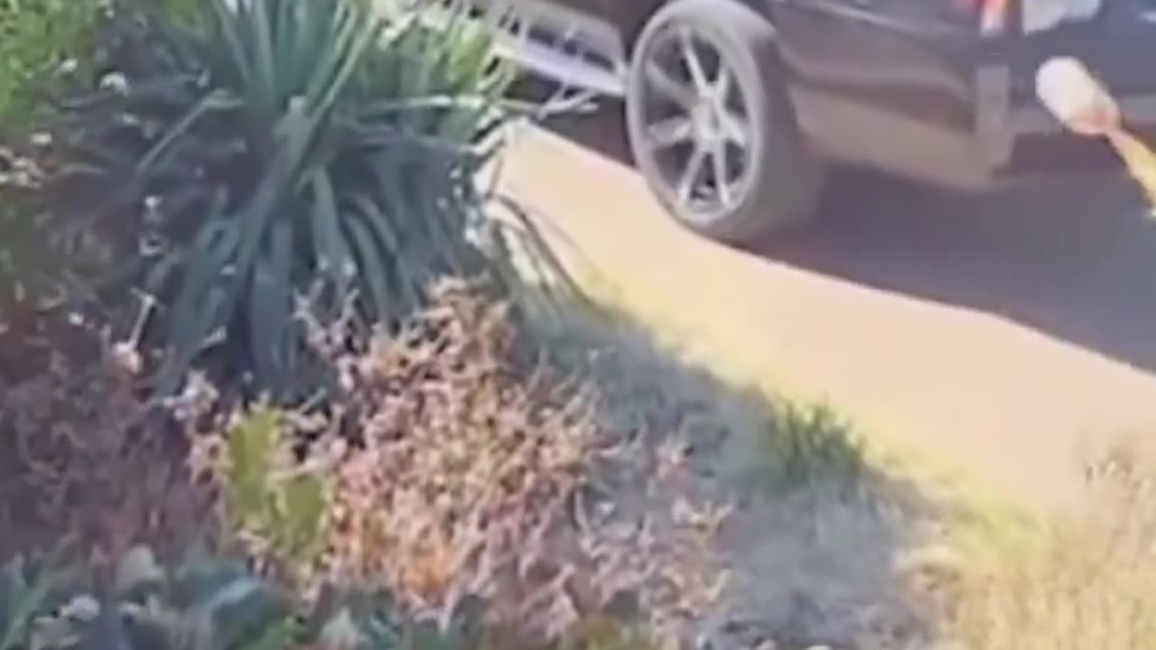 Groceries continue to skyrocket