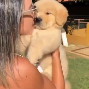 Various instances of pets being petted by residents No. 28