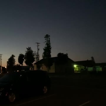 Yellowstone Wolf Howl - Early morning