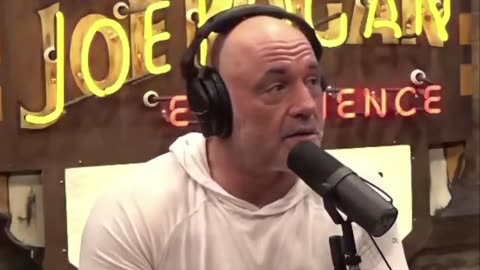 Joe Rogan claims artists are afraid to openly support Trump