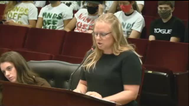 Idaho Education Taskforce - Christy Warhurst - Part 2