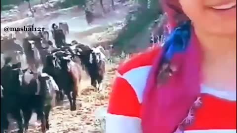 Most beautiful video 😍