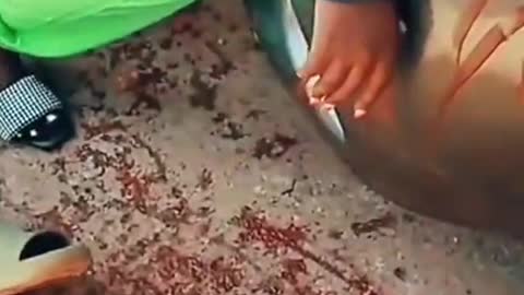 Pemandangn yg mengerikn