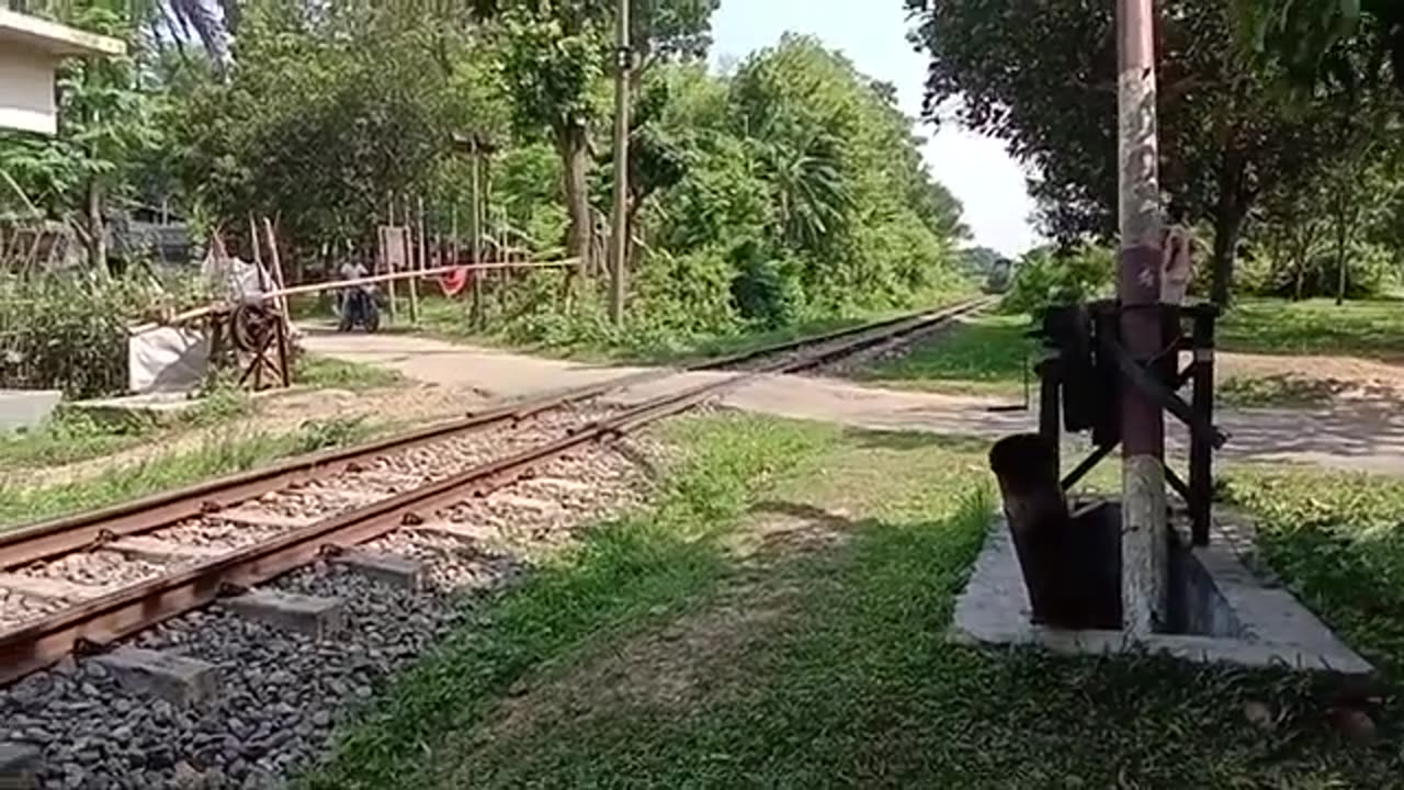 Local Train Service