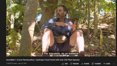 Sintropia: Conversion de tierra desolada en bosque variado produciendo abundante comida