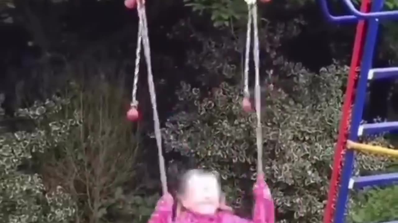 Funny animals